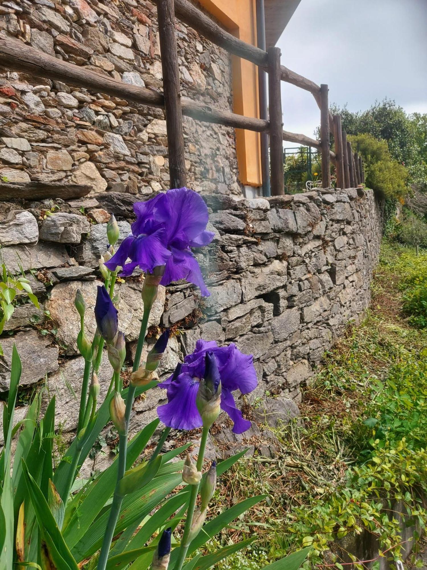 Bed and Breakfast La Nave Monteggio Exterior foto